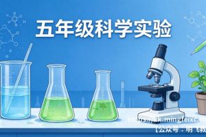 五年级科学实验 实验报告